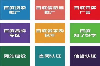 SEM托管实战：某电商平台的成功经验